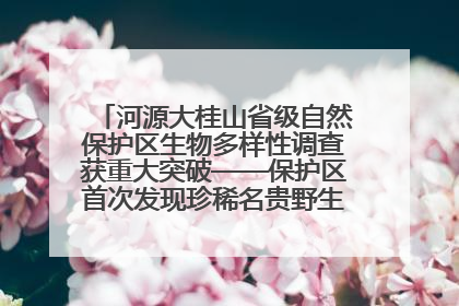 河源大桂山省级自然保护区生物多样性调查获重大突破——保护区首次发现珍稀名贵野生干巴菌与钝尾两头蛇