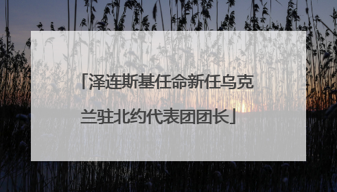 泽连斯基任命新任乌克兰驻北约代表团团长