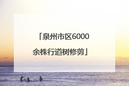 泉州市区6000余株行道树修剪