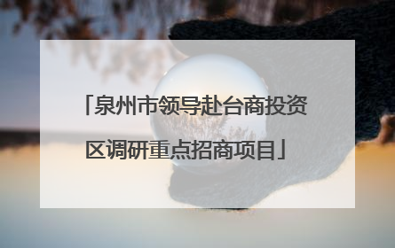 泉州市领导赴台商投资区调研重点招商项目