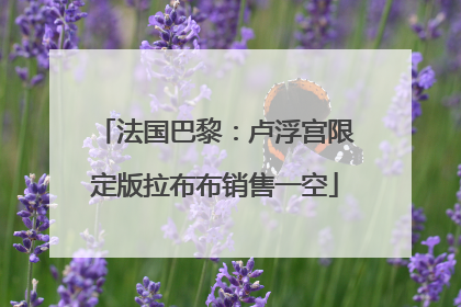 法国巴黎：卢浮宫限定版拉布布销售一空