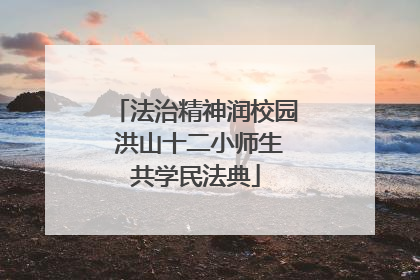 法治精神润校园 洪山十二小师生共学民法典