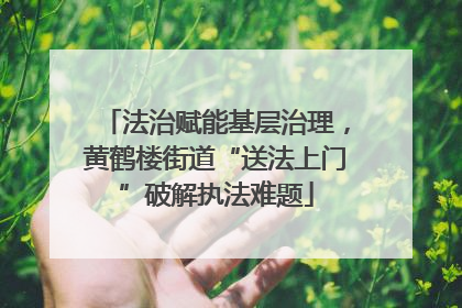 法治赋能基层治理，黄鹤楼街道“送法上门”破解执法难题