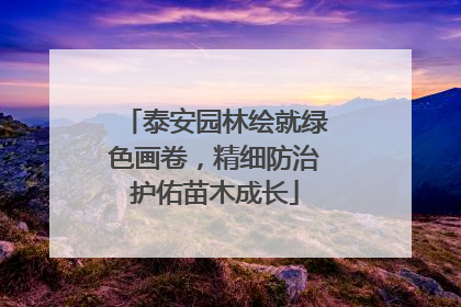 泰安园林绘就绿色画卷，精细防治护佑苗木成长
