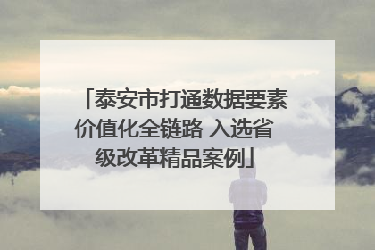 泰安市打通数据要素价值化全链路 入选省级改革精品案例