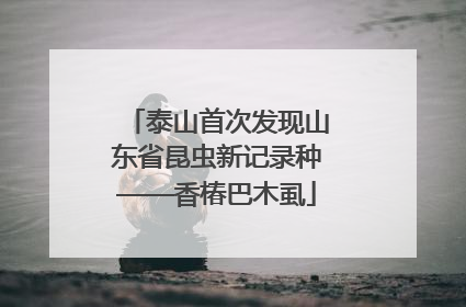 泰山首次发现山东省昆虫新记录种——香椿巴木虱
