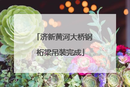 济新黄河大桥钢桁梁吊装完成