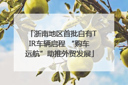 浙南地区首批自有TIR车辆启程 “购车远航”助推外贸发展