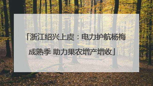 浙江绍兴上虞：电力护航杨梅成熟季 助力果农增产增收