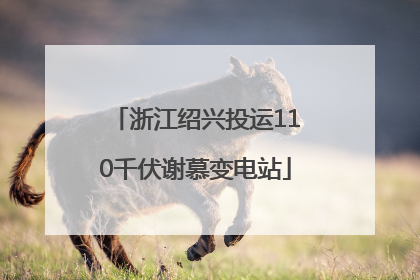 浙江绍兴投运110千伏谢慕变电站