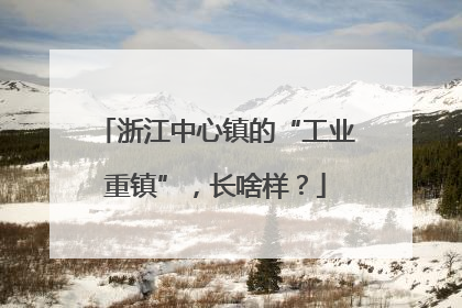 浙江中心镇的“工业重镇”，长啥样？