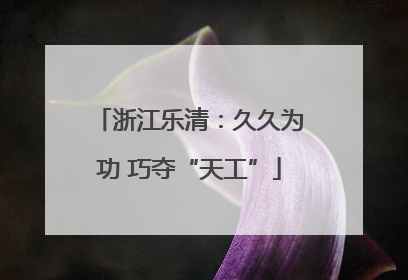 浙江乐清：久久为功 巧夺“天工”