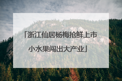 浙江仙居杨梅抢鲜上市 小水果闯出大产业