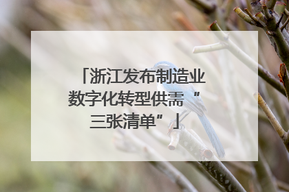 浙江发布制造业数字化转型供需“三张清单”