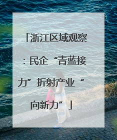 浙江区域观察：民企“青蓝接力”折射产业“向新力”