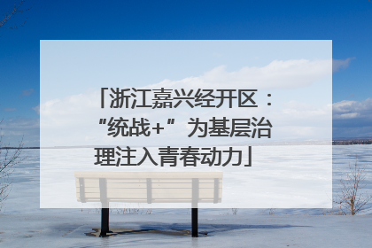 浙江嘉兴经开区：“统战+”为基层治理注入青春动力