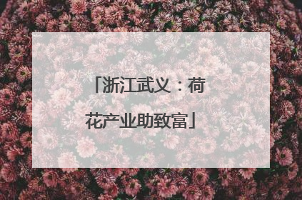 浙江武义：荷花产业助致富