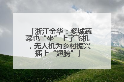 浙江金华：婺城蔬菜也“坐”上了飞机，无人机为乡村振兴插上“翅膀”