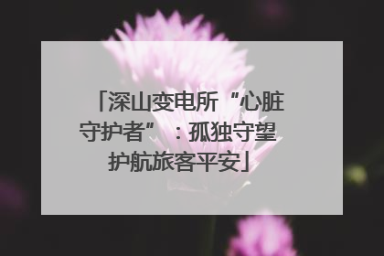 深山变电所“心脏守护者”：孤独守望护航旅客平安