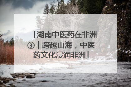 湖南中医药在非洲③｜跨越山海，中医药文化浸润非洲