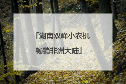 湖南双峰小农机畅销非洲大陆