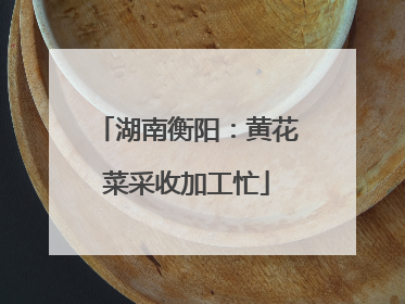 湖南衡阳：黄花菜采收加工忙