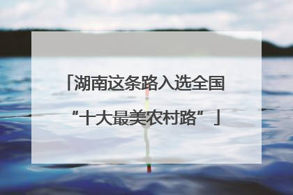 湖南这条路入选全国“十大最美农村路”
