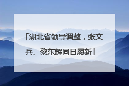 湖北省领导调整，张文兵、黎东辉同日履新
