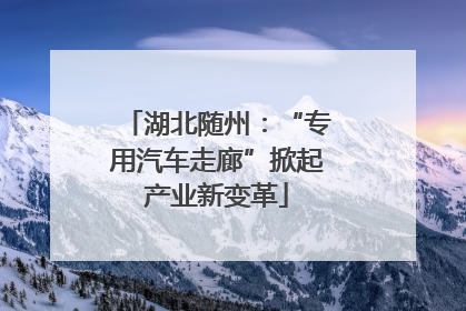 湖北随州：“专用汽车走廊”掀起产业新变革