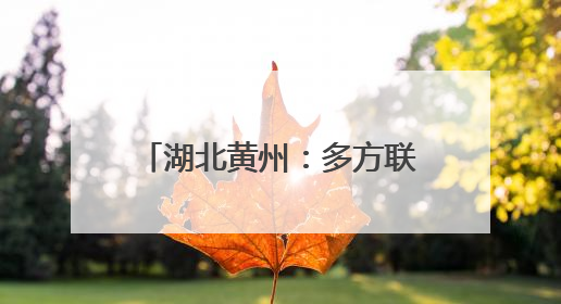 湖北黄州：多方联动合力解“薪”愁
