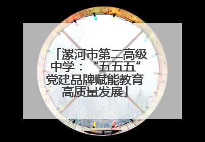 漯河市第二高级中学：“五五五”党建品牌赋能教育高质量发展