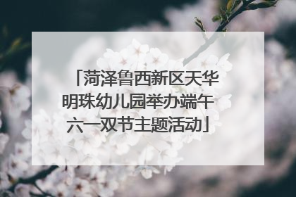 菏泽鲁西新区天华明珠幼儿园举办端午六一双节主题活动
