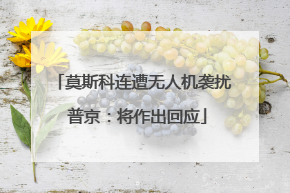 莫斯科连遭无人机袭扰 普京：将作出回应
