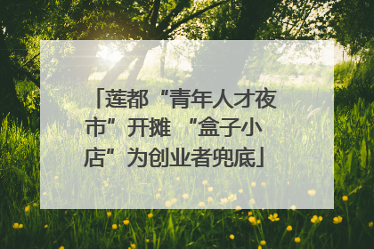 莲都“青年人才夜市”开摊 “盒子小店”为创业者兜底