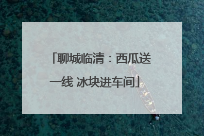 聊城临清：西瓜送一线 冰块进车间