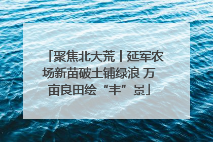 聚焦北大荒丨延军农场新苗破土铺绿浪 万亩良田绘“丰”景