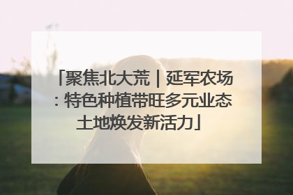 聚焦北大荒｜延军农场：特色种植带旺多元业态 土地焕发新活力