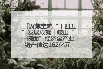聚焦宝鸡“十四五”发展成就丨岐山“一碗面”经济全产业链产值达162亿元 入选全国典型县