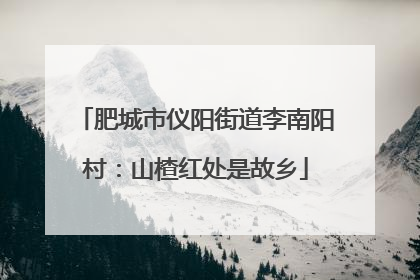 肥城市仪阳街道李南阳村：山楂红处是故乡