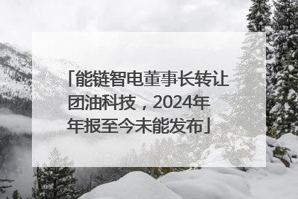 能链智电董事长转让团油科技，2024年年报至今未能发布