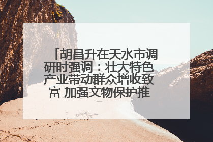 胡昌升在天水市调研时强调：壮大特色产业带动群众增收致富 加强文物保护推动文化创新发展