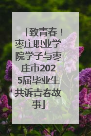 致青春！枣庄职业学院学子与枣庄市2025届毕业生共诉青春故事