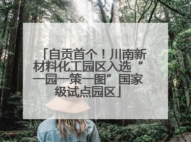 自贡首个！川南新材料化工园区入选“一园一策一图”国家级试点园区