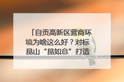 自贡高新区营商环境为啥这么好？对标昆山“昆如意”打造自贡“高兴办”｜美好生活有“盐”味