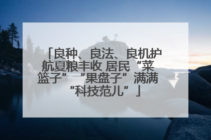 良种、良法、良机护航夏粮丰收 居民“菜篮子”“果盘子”满满“科技范儿”