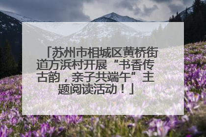 苏州市相城区黄桥街道方浜村开展“书香传古韵，亲子共端午”主题阅读活动！
