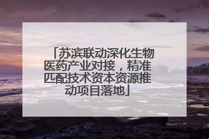 苏滨联动深化生物医药产业对接，精准匹配技术资本资源推动项目落地
