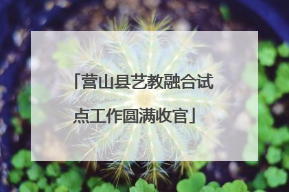 营山县艺教融合试点工作圆满收官