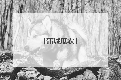 蒲城瓜农