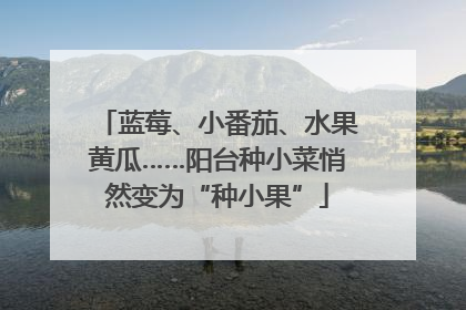 蓝莓、小番茄、水果黄瓜……阳台种小菜悄然变为“种小果”